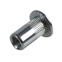 Rivet nut M3 nickel normal