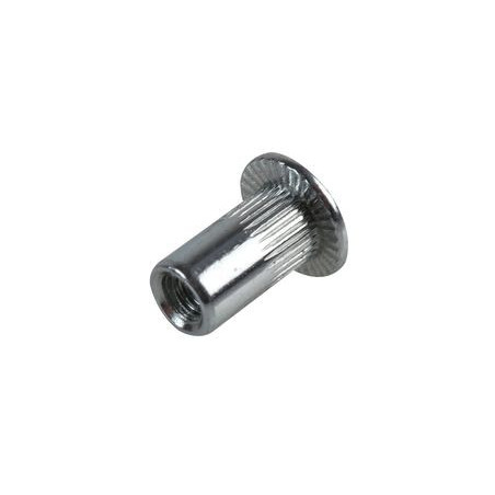 Rivet nut M3 nickel normal