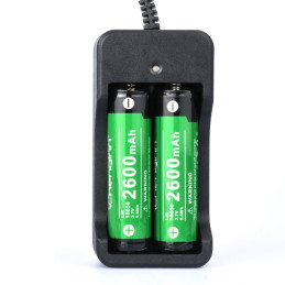 Dual 18650 Li-Ion Battery Charger