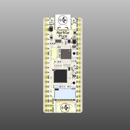 Placa de dezvoltare GroundStudio Marble Pico
