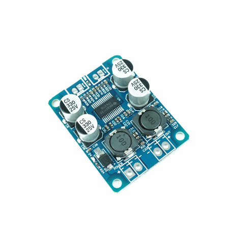 TPA3118 Mono Audio Amplifier Module